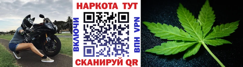 Как найти наркотики Балтийск Псилоцибиновые грибы  COCAIN  СОЛЬ  Канабис  NBOMe  ГАШИШ  Меф 