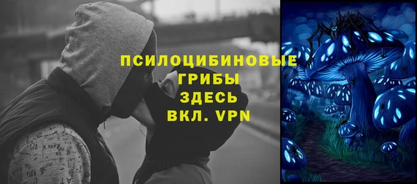 соль ск Белоозёрский
