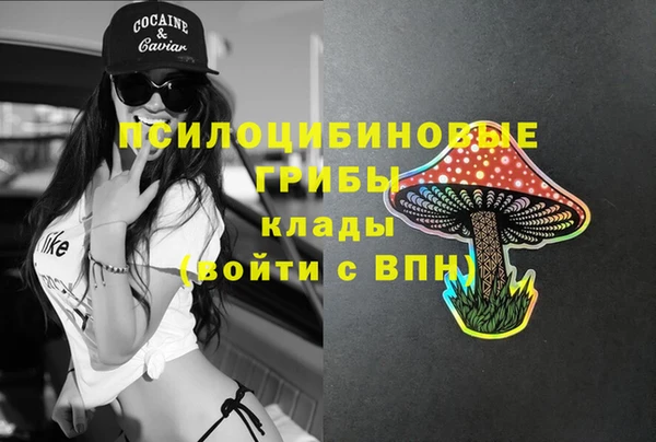 соль ск Богданович