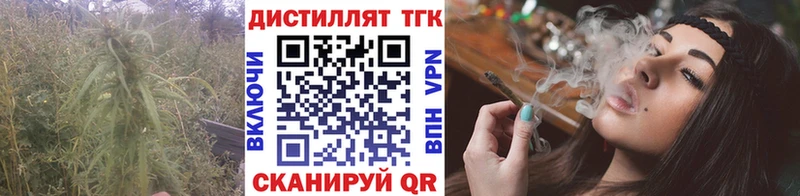 shop наркотические препараты  где купить наркоту  Балтийск  ТГК гашишное масло 